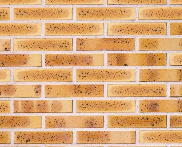 Brique perforée léopard 220x105x54 mm (à l'unité)