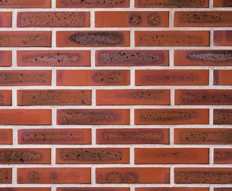 Brique perforée terre de rose 220x105x54 mm (à l'unité)