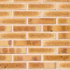 Brique pleine lisse léopard 220x105x54 mm (à l'unité)