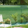 Brise-vue vert Windanet vert 1 x 3 m