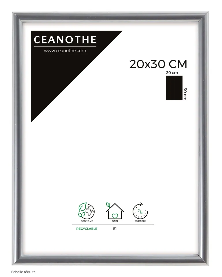 Cadre rectangulaire Gallery 20x30 cm argent