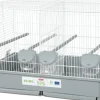 Cage élevage Primo Cati 57 cm blanc/ gris ZOLUX