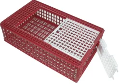Cage de transport pour volaille