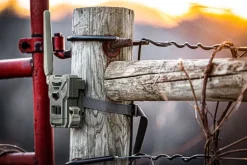 Caméra de chasse FLEX-M SPY POINT
