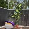 Canisse Lop anthracite L.3m