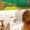 Canisse simple face verte 1,5 x 5 m