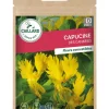 Capucine des Canaries 5g CAILLARD