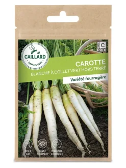 Carotte Blanche à Collet Vert hors terre 6g CAILLARD