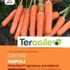 Carotte Napoli Hybride F1 (graines enrobées) x200 TERAGILE