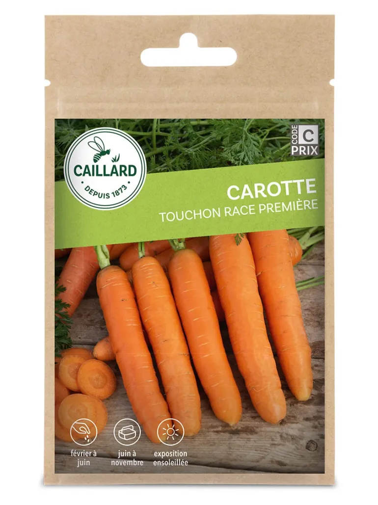 Carotte Touchon Race Première 5g CAILLARD