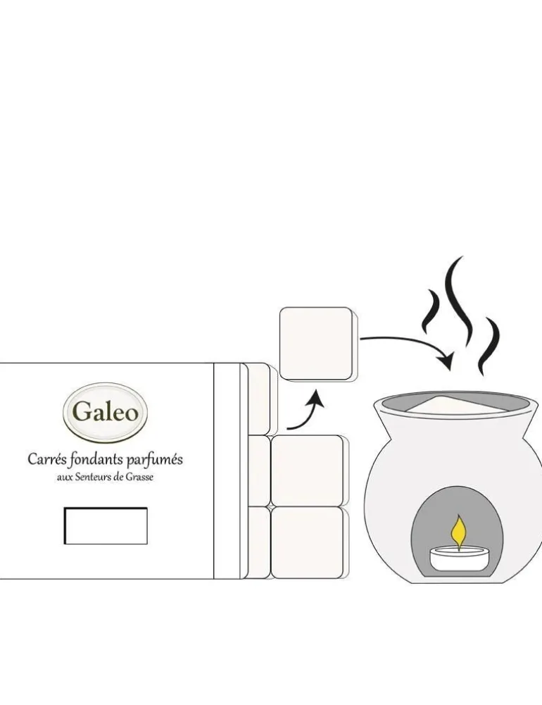 Carrés fondants parfumés rose ancienne GALEO