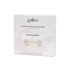 Carrés fondants parfumés rose ancienne GALEO