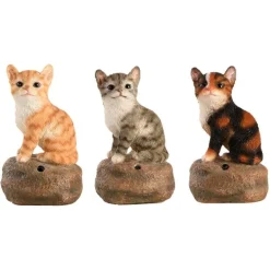 Chatons d'acceuil - Vendu à l'unité