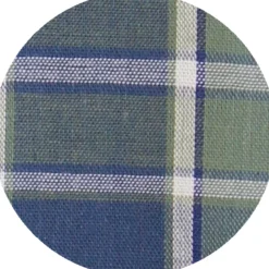 Chemise manches courtes Barda Bleu/Vert