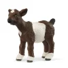 Chevreau