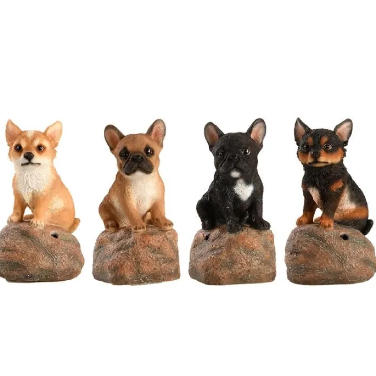 Chiots d'acceuil - Vendu à l'unité