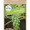 Chou De Bruxelles Maximus Hf1 0,85g CAILLARD