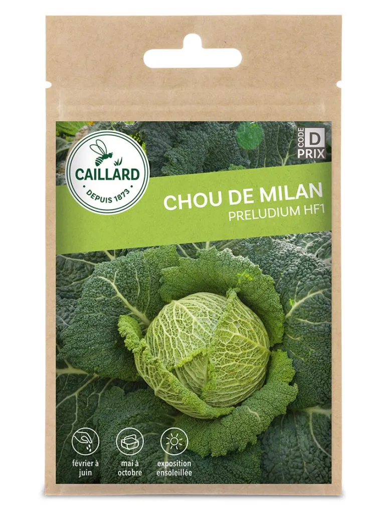 Chou De Milan Preludium Hf1 1g CAILLARD
