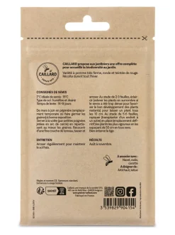Chou De Milan Winterköning 2 (Roi de L'Hiver) 3g CAILLARD