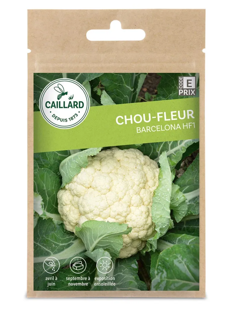 Chou-Fleur Barcelona Hf1 0,8 g CAILLARD