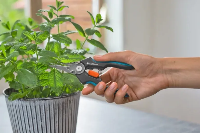 Ciseaux de récolte avec pince de maintien Gripcut GARDENA