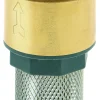 Clapet crépine en laiton F26x34