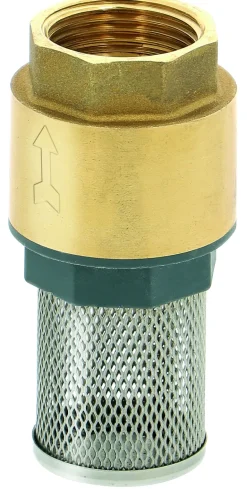 Clapet crépine en laiton F26x34