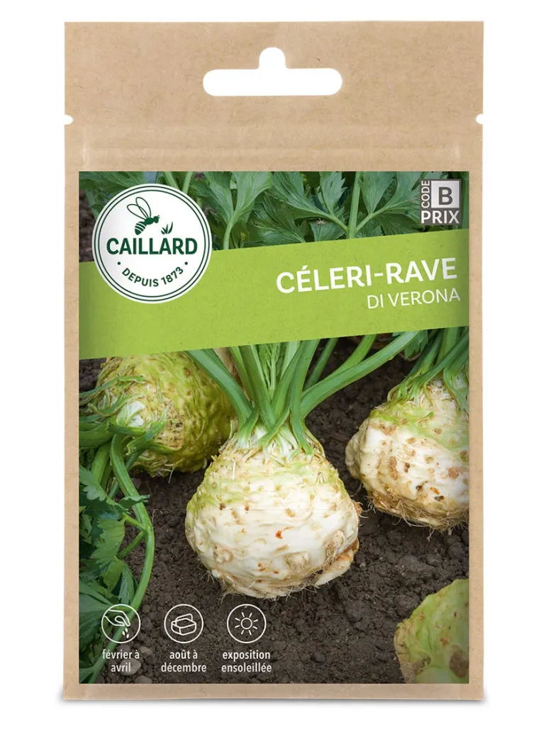 Céleri-Rave Di Verona 1g CAILLARD