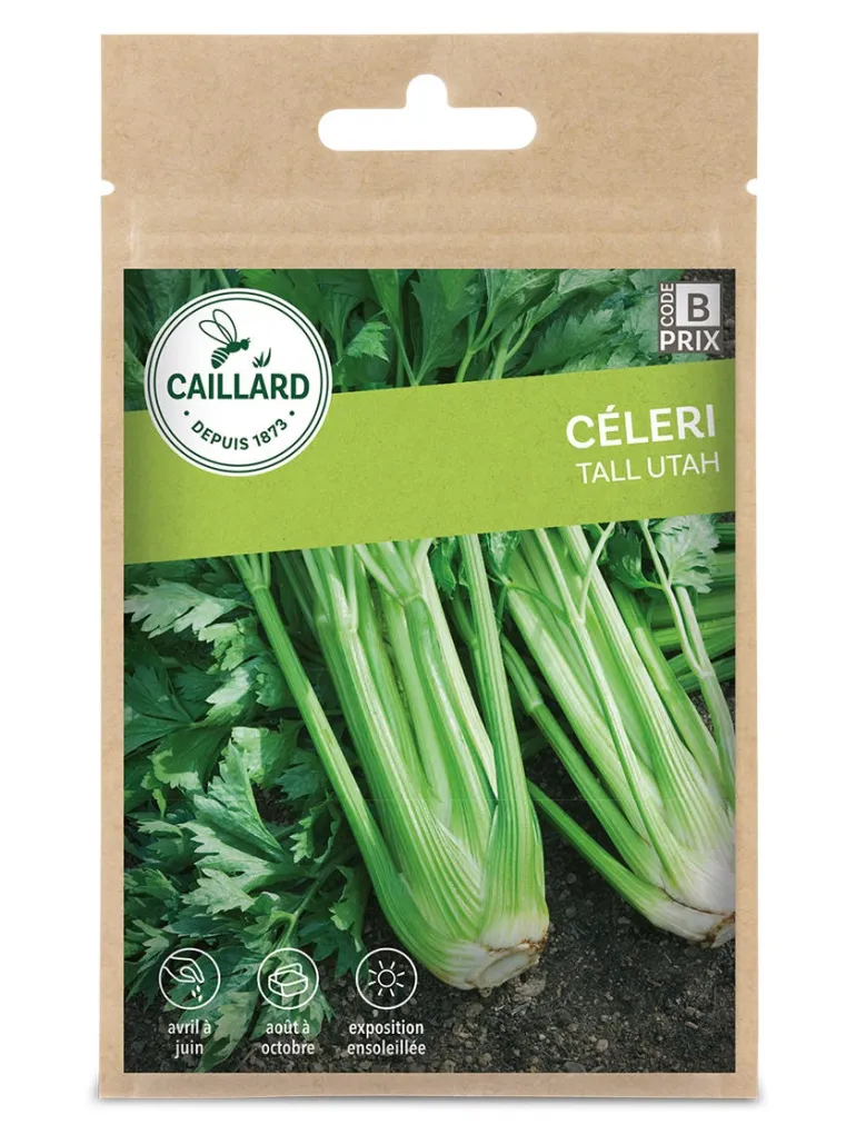 Céleri Tall Utah 1,5g CAILLARD