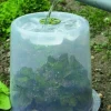 Cloche potagère à forcer Ø 35 cm