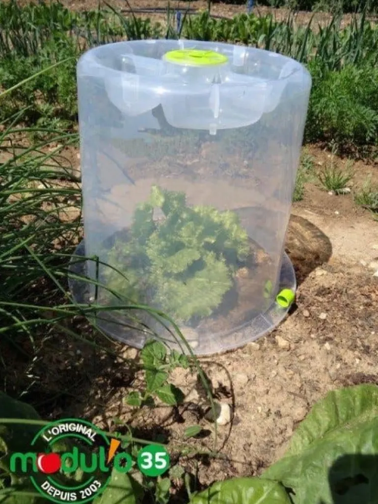 Cloches Modul'o 35 + 6 piquets offerts (x3)