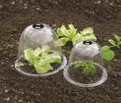 3 Cloches potagères BELL transparentes ø0,25m