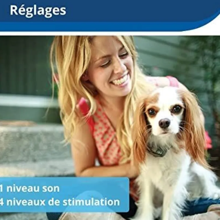 Clôture à fil "Petits chiens" + collier à pile PETSAFE