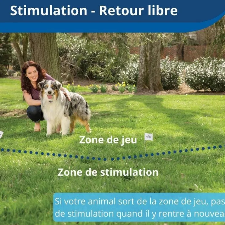 Clôture sans fil antifugue Stay and play + collier