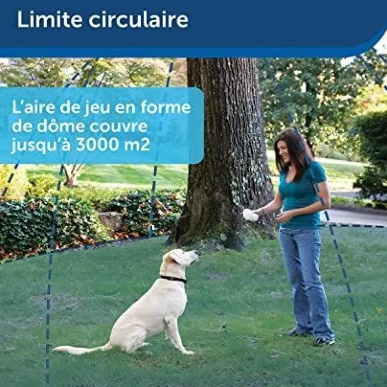 Clôture sans fil Stay and play "chien têtu" + collier