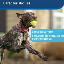 Clôture sans fil Stay and play