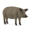 Cochon Mangalica