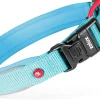 Collier nylon premium 20mm 35/40 cm turquoise ZOLUX