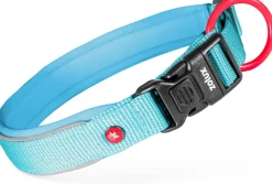 Collier nylon premium 20mm 35/40 cm turquoise ZOLUX
