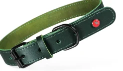 Collier pour chien cuir classique 20mm 35/45cm vert ZOLUX