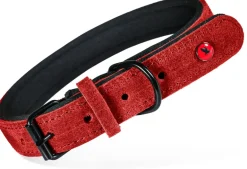 Collier pour chien cuir confort 14mm 23/30cm rouge ZOLUX