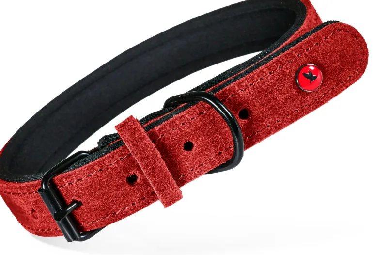 Collier pour chien cuir confort 14mm 23/30cm rouge ZOLUX