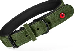 Collier pour chien cuir confort 16mm 29/36cm vert ZOLUX