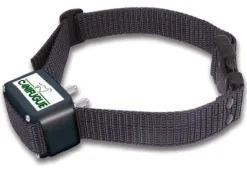 Collier supplémentaire Canifugue NUM'AXES
