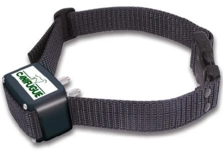 Collier supplémentaire Canifugue NUM'AXES
