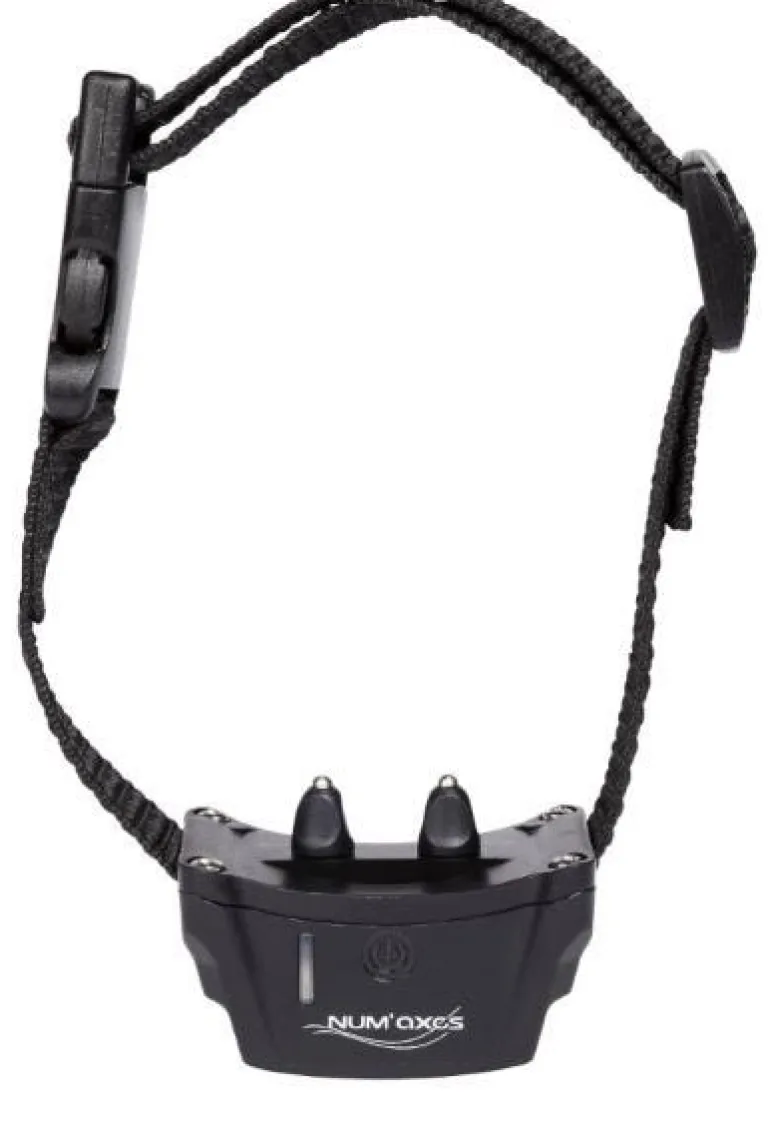 Collier supplémentaire Canifugue NUM'AXES