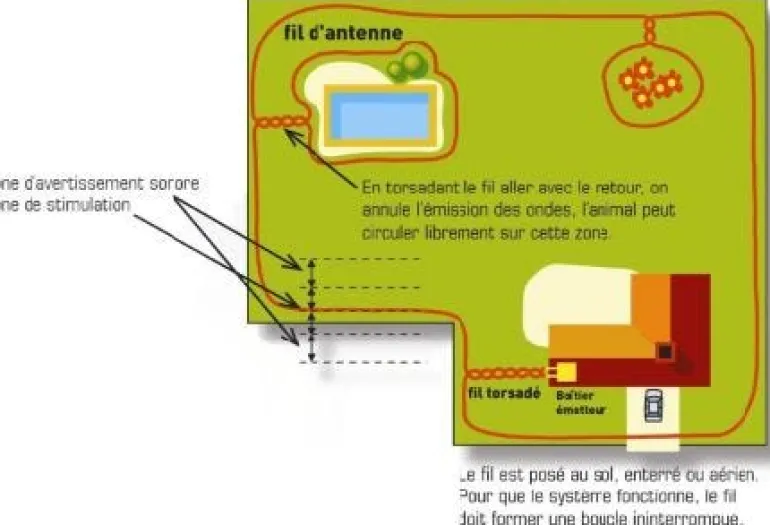 Collier supplémentaire Canifugue NUM'AXES