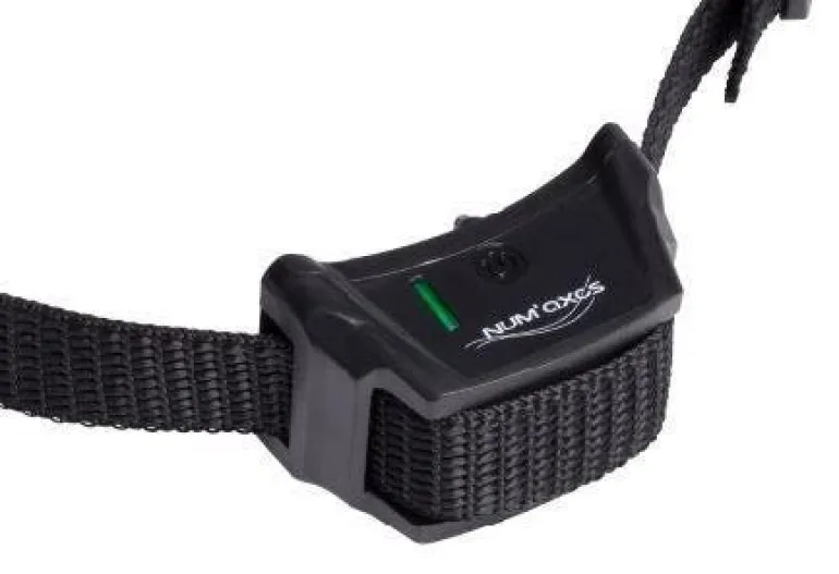 Collier supplémentaire Canifugue NUM'AXES