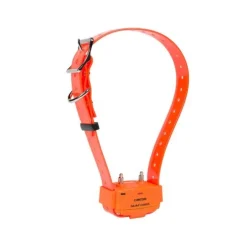 Collier Canicom avec plasturgie orange NUM'AXES