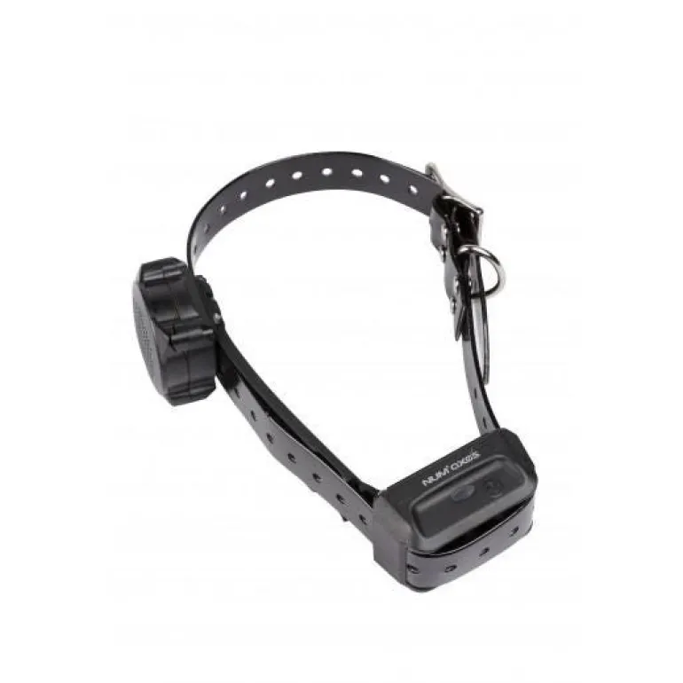 Collier d'éducation sans stimulation Canicom Voice noir